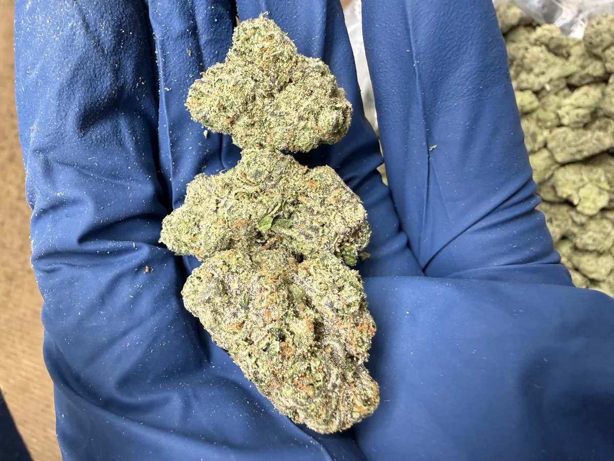 Super Runtz Flower